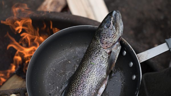 Fischküche Laboe